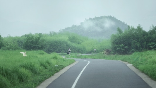 梅雨季-水雾-雾气-小路-农田 图片素材