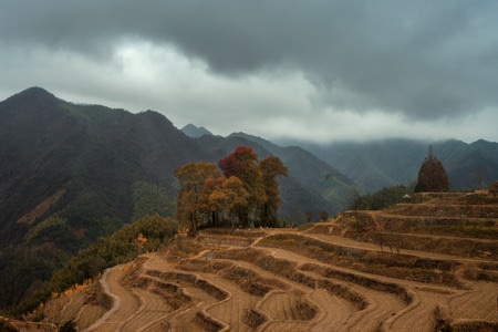 雾-梯田-山-秋天-秋色 图片素材