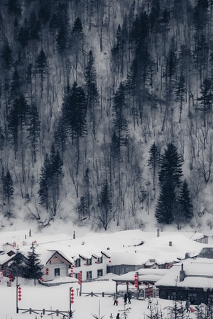 风光-自然-山林-林海雪原-雪景 图片素材