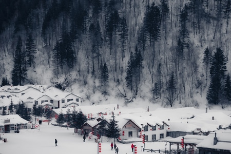 风光-自然-东北-雪景-林海雪原 图片素材