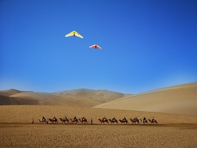 旅行-简单-风景-驼队-沙漠 图片素材