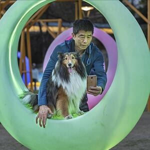 人像写真-生活-抓拍-狗-犬 图片素材
