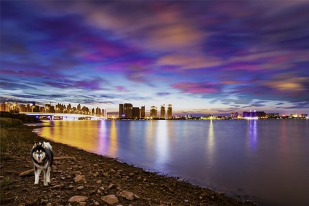 堆栈-风景-城市-城市风光-海岸 图片素材
