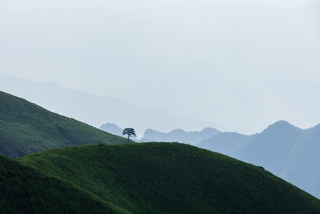 7日打卡挑战-旅行-武功山-高山-风光 图片素材