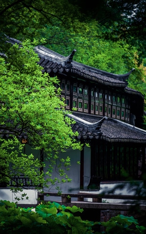 氛围-色彩-拙政园-房屋-拙政园 图片素材