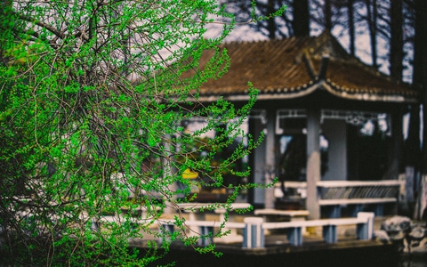 色彩-风光-氛围-春季-园林 图片素材