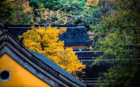 色彩-风光-氛围-金山寺-金山寺 图片素材