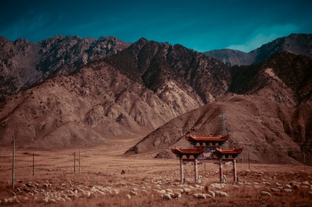 风光-旅行-色彩-风景-动物 图片素材
