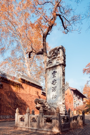 光影-冬日暖阳-一镜知秋-南京-石雕 图片素材