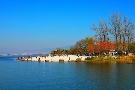 旅行-风光-邛海湿地公园-邛海湿地公园-公园 图片素材