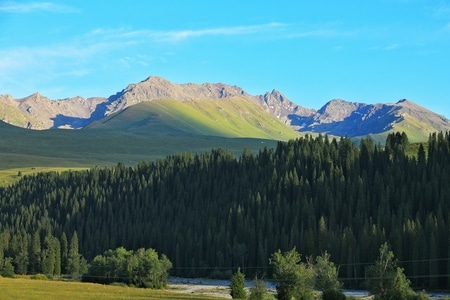旅行-风光-新疆-唐布拉-风景 图片素材