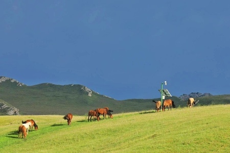 风光-旅行-巴音布鲁克-风光-风景 图片素材