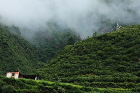 旅行-风光-阿坝-壤塘-风光 图片素材