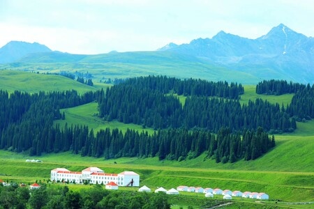 旅行-风光-新疆-唐布拉-风景 图片素材