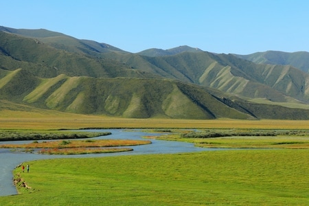 旅行-风光-巴音布鲁克之晨-风景-风光 图片素材