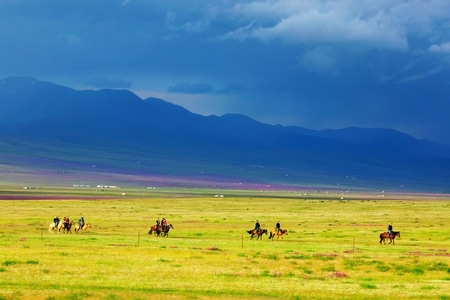 旅行-风光-新疆-巴音布鲁克-风景 图片素材