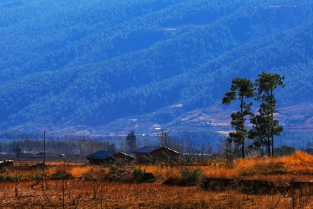 旅行-风光-木里-风景-风光 图片素材