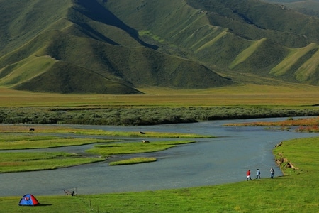 旅行-风光-巴音布鲁克-风光-风景 图片素材