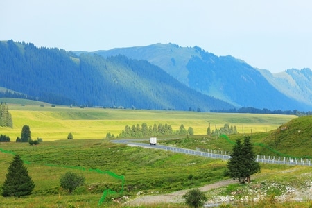 旅行-风光-新疆-唐布拉-风景 图片素材