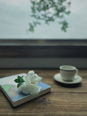 你好2020-夏天-日常-栀子花-植物 图片素材