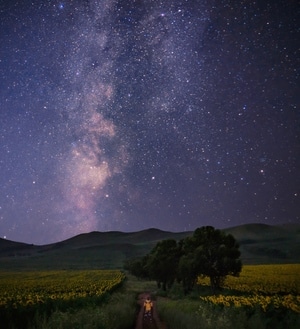银河-星空-旅行-向日葵-山丘 图片素材