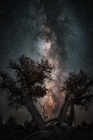 银河-星空-胡杨树-沙漠-戈壁 图片素材