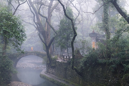 早晨-生态-自然-风光-旅游 图片素材