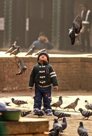 尼泊尔-人文-儿童-街道-广场 图片素材