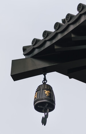 寺庙-寺-腊梅-猫-人文 图片素材