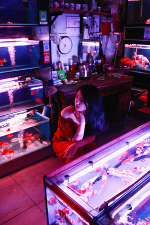 人像-情绪-港风复古-金鱼-摄影 图片素材