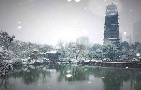 旅行-雪景-风光-景色-随手拍 图片素材