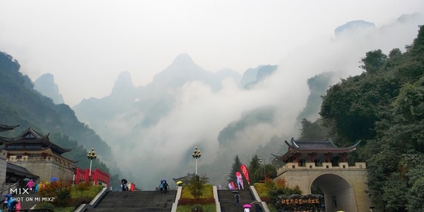 旅行-风景-原创-张家界-手机 图片素材