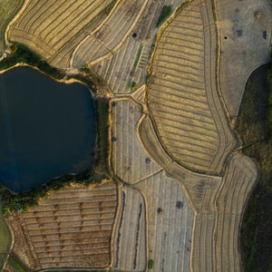 农民-农村-田地-航拍-风景 图片素材