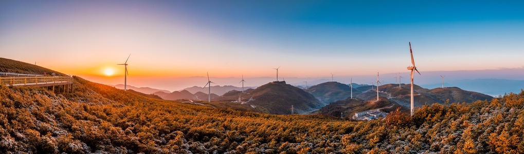 旅行-日出-树-树林-山 图片素材