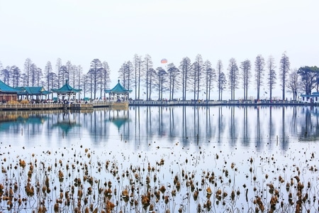 武汉-东湖-风光-倒影-湖 图片素材