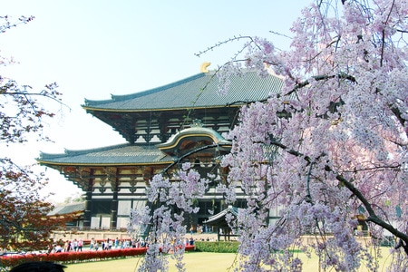 风光-历史-寺庙-古建筑-旅行 图片素材