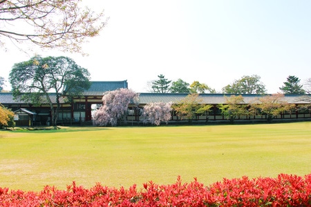 踏青-风光-历史-寺庙-古建筑 图片素材