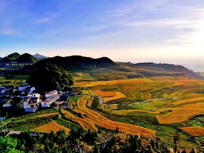 黔南布依族苗族自治州-风景-随手拍-稻田-风景 图片素材