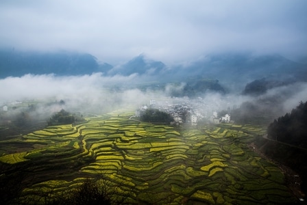 风景-春暖花开-晨雾-山村-油菜花 图片素材