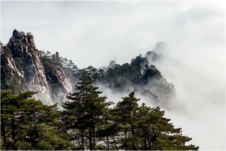 风光-黄山-云海-重峦叠嶂-松柏 图片素材