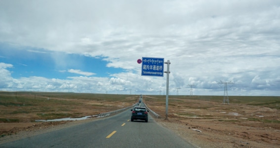 旅行-自然-户外-生态-高原 图片素材