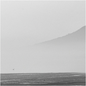 天鹅-山东-荣成-烟墩角-天鹅湖 图片素材