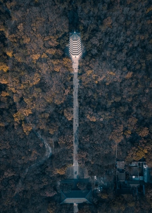 塔-秋-杆-塔-风景 图片素材