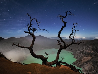 艺术风光-风光-色彩-星空-枯树 图片素材