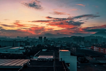 鸟-夜景-创意-纪实类-城市 图片素材