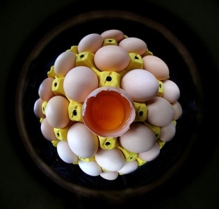 宅家-夸张-美食-鸡蛋-蛋黄 图片素材