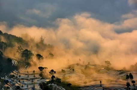 旅行-70周年风光-风景-风光-梯田 图片素材