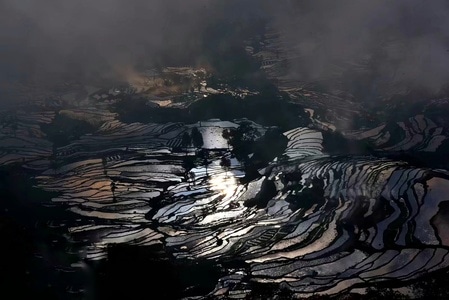 风光-梯田-风景-风光-水田 图片素材