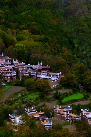 纪实-你好秋天-风光-自驾游旅拍-乡村 图片素材