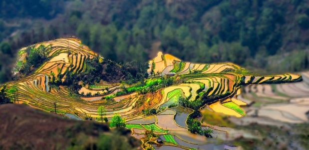 风光-秋日物语-自驾游旅拍-旅行-绿色地球 图片素材